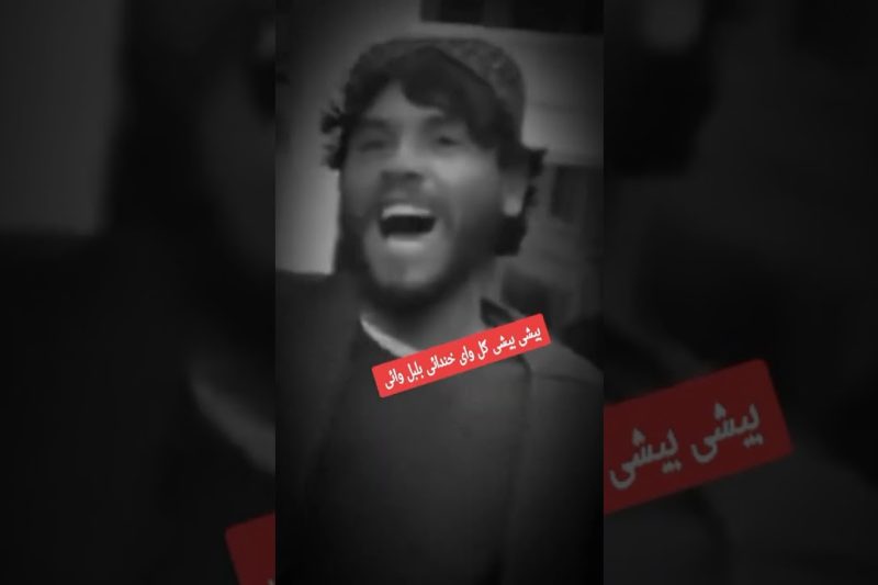 Bashi bashi gol wari pashto farsi remix #Afghanistan #afghan #afg